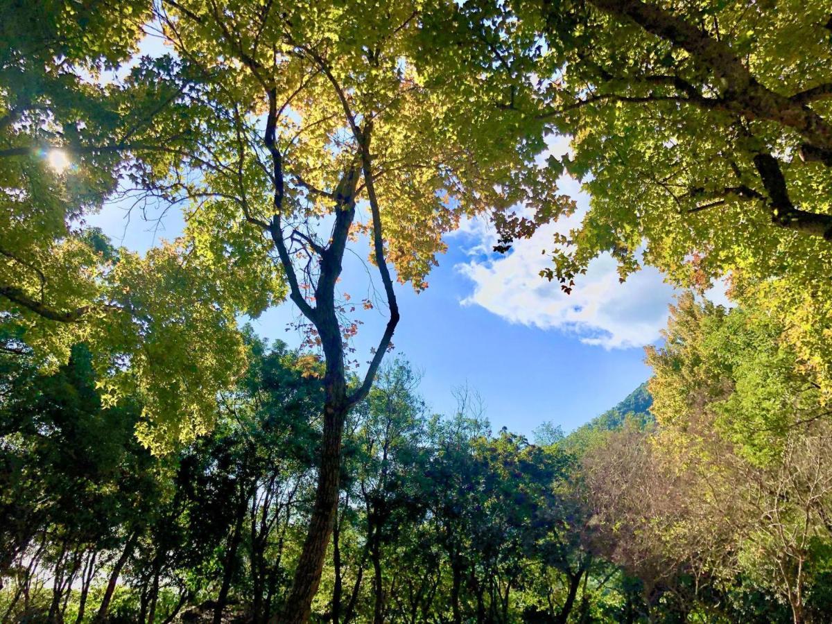 慢水山丘民宿 Slow Water Hill Yuemei Zewnętrze zdjęcie
